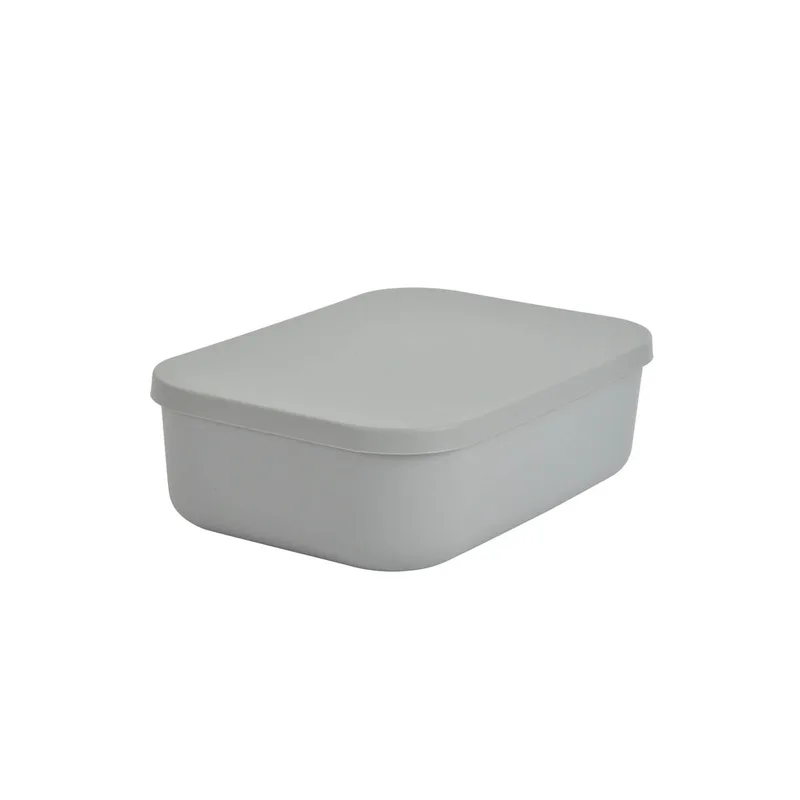 Κουτί Αποθήκευσης (25x17.5x7.6) L-C Gris 6RAN838GR