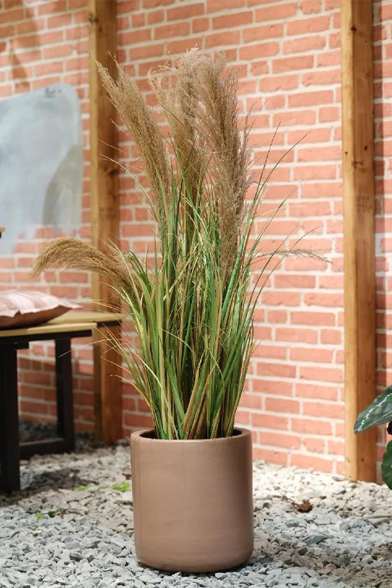 Γρασιδι Plume Με 5 Καφε Ανθη Σε Γλαστρα 85Cm 30x30x85cm Μονόχρωμο Kaeming