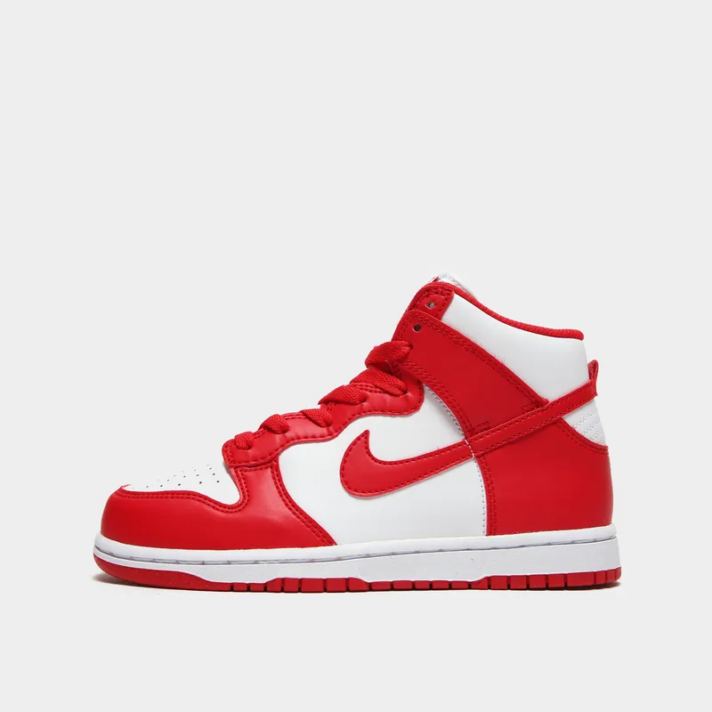 Nike Dunk High Παιδικά Μποτάκια (9000172645_8915)