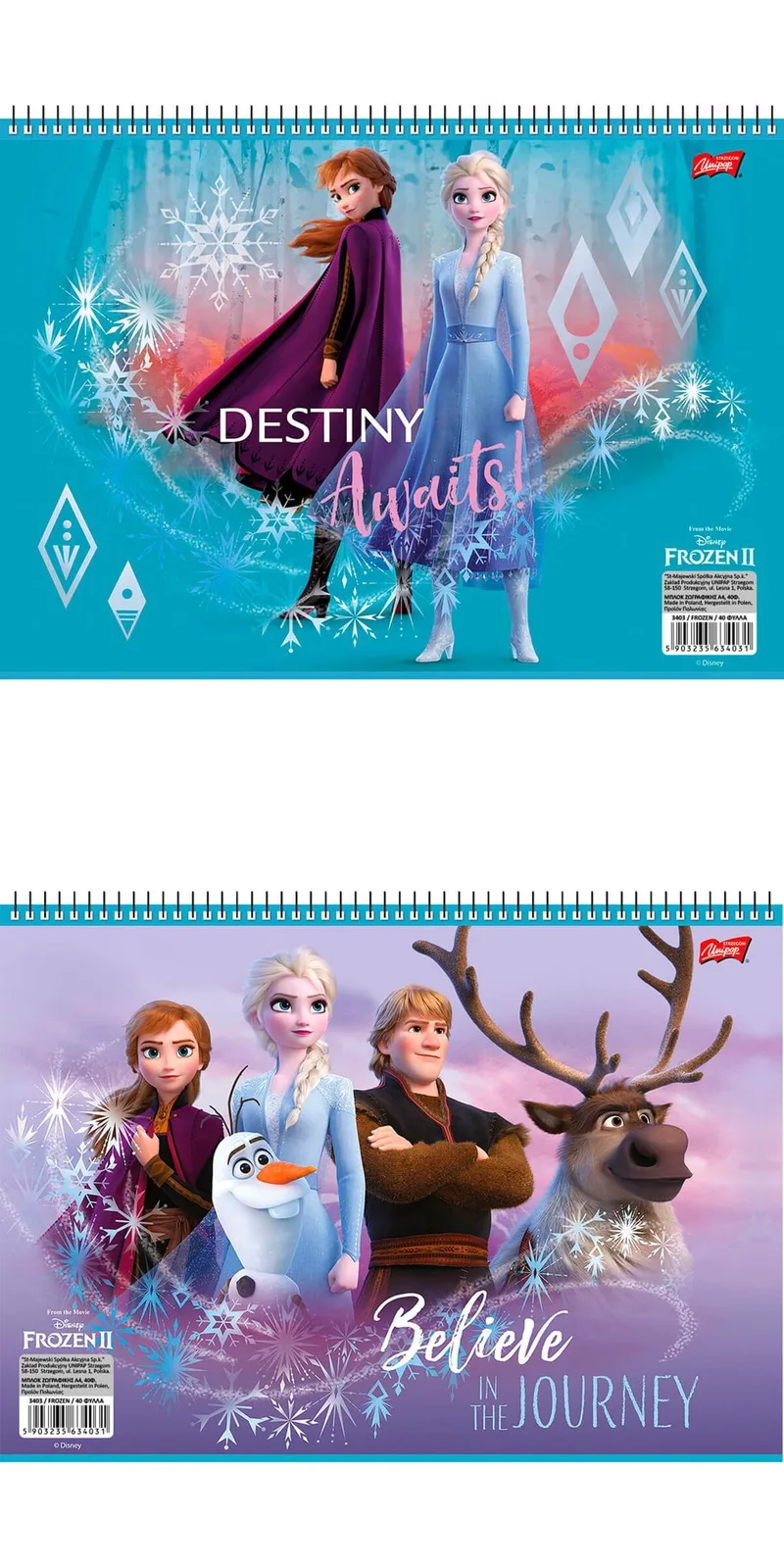 Μπλοκ ζωγραφικής Salko Frozen 40 φύλλα Α4 (2 σχέδια)