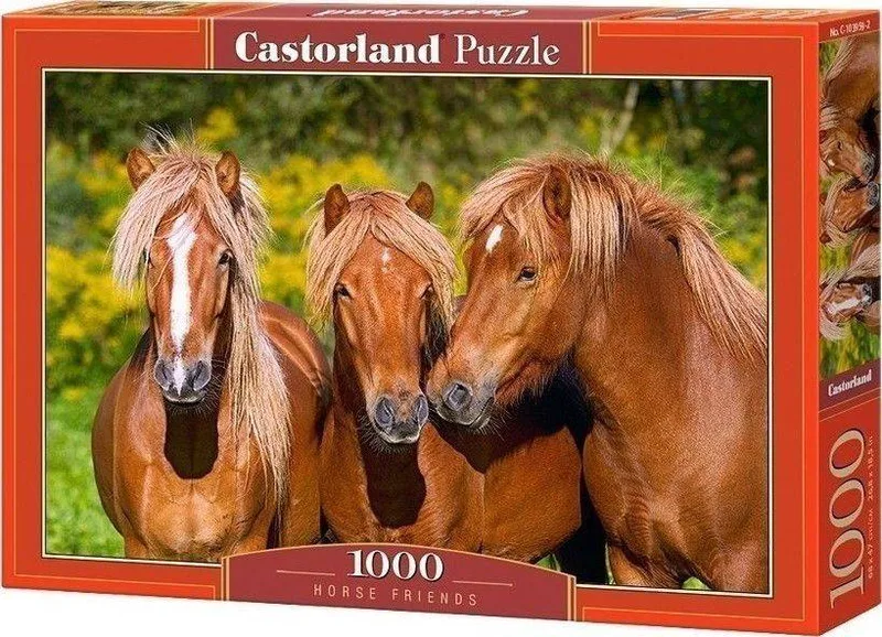 HORSE FRIENDS CASTORLAND 1000 ΚΟΜΜΑΤΙΑ