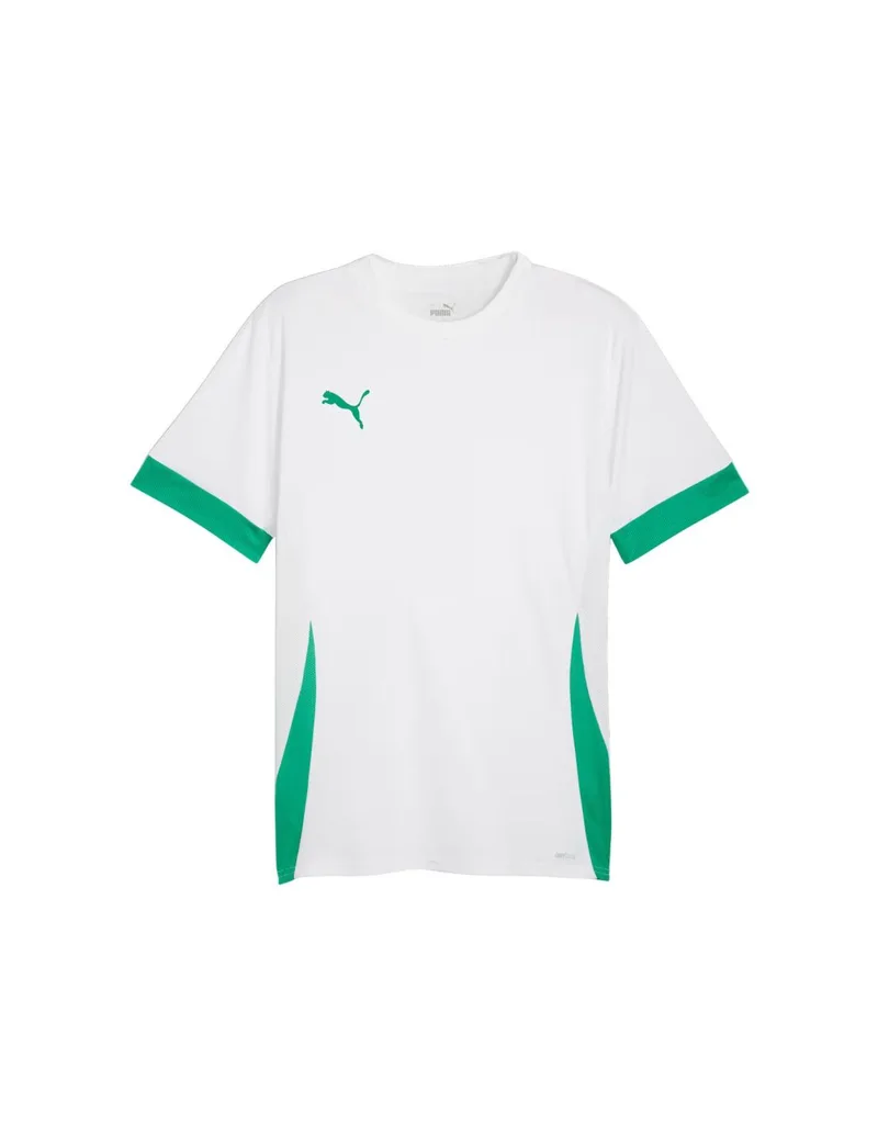 Puma teamGoal Matchday Jersey men's whitegreen 705747 15