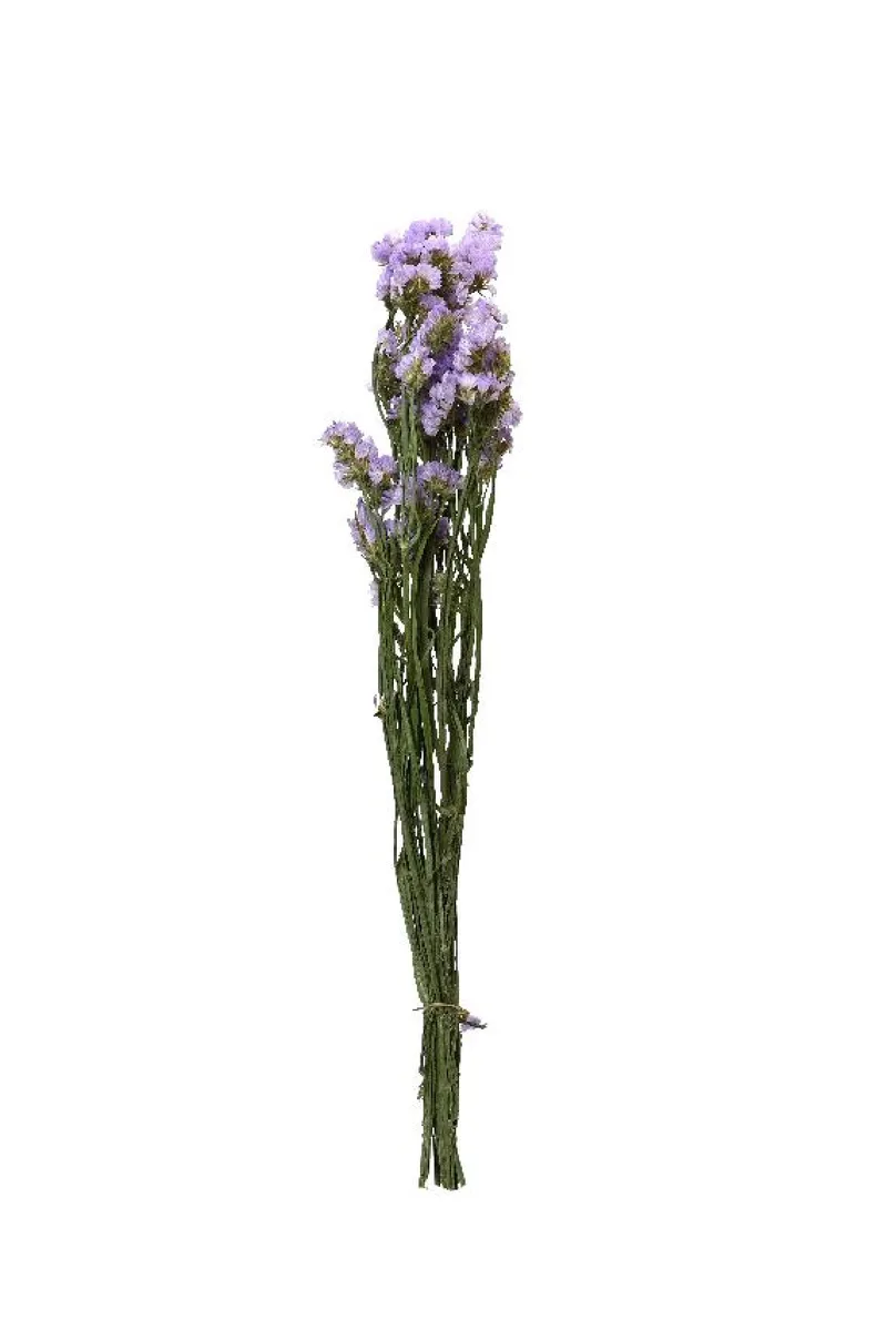 Μπουκετο Αποξηραμενο 55Cm 14x14x55cm Σχέδιο 2 Kaeming