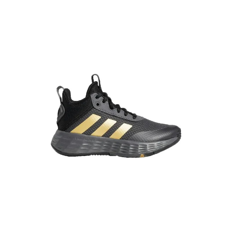 Παπούτσια του Μπάσκετ adidas Ownthegame 20