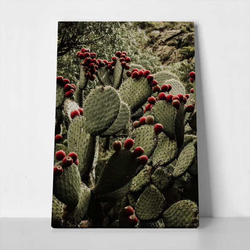 Πίνακας σε Καμβά RUSTIC FARMHOUSE CACTUS 2