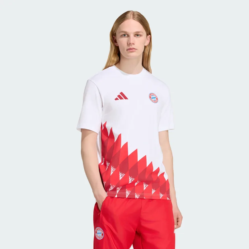 adidas FC Bayern Munich Anthem Graphic Ανδρικό T-Shirt (9000284900_95975)