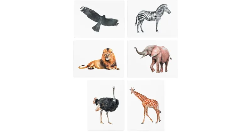 TATTonMe Temporary Set Animal Tattoo for Kids 3 Years+ 6 Pieces