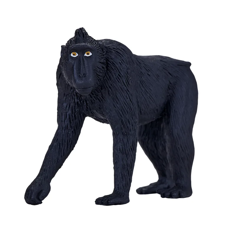 ANIMAL PLANET-ΜΑΚΑΚΟΣ-MEDIUM