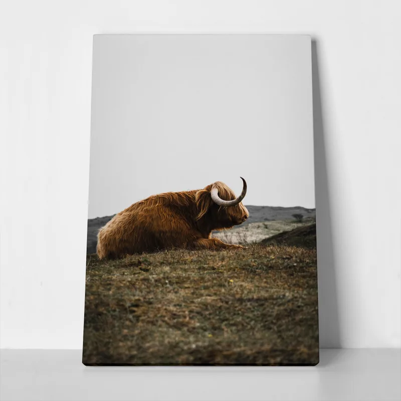 Πίνακας σε Καμβά RUSTIC FARMHOUSE COW 9
