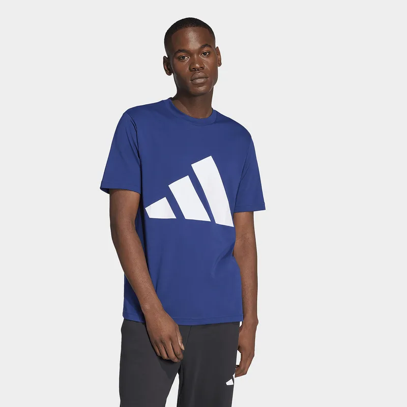 adidas sportswear Essentials Big Logo Tee (9000217003_66159)