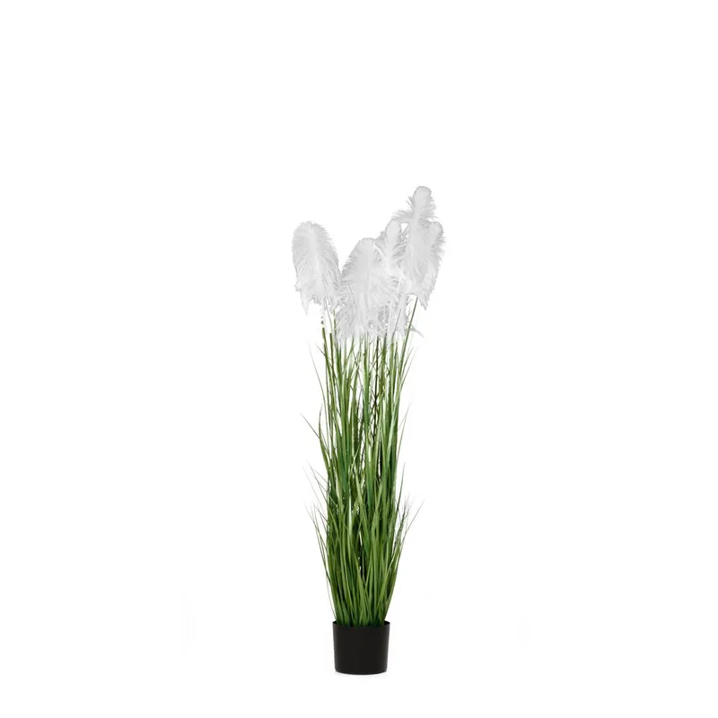 Φυτό Pampas Grass Λευκό iliadis Φ15x125εκ. 85073 (Χρώμα: Λευκό) - Iliadis - il_85073