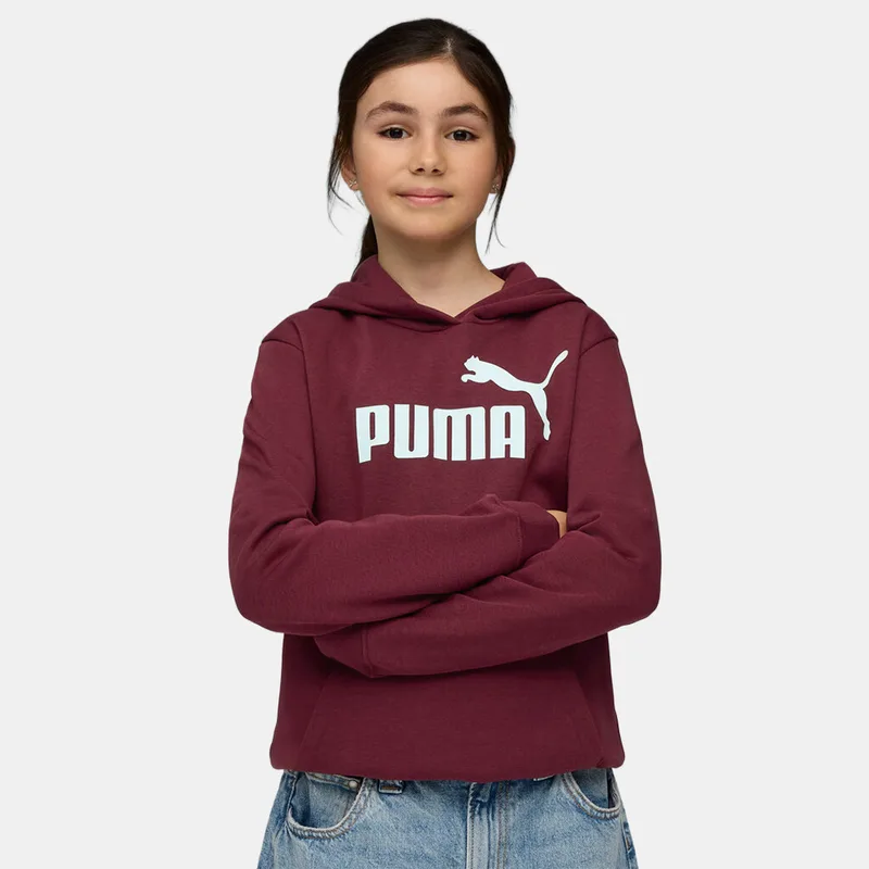 Puma Ess No. 1 Logo Παιδική Μπλούζα με Κουκούλα (9000246377_89027)