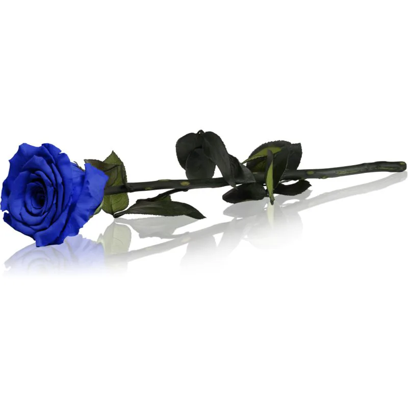 RoseAmor Blue διατηρημένο τριαντάφυλλο με μίσχο 1 τμχ