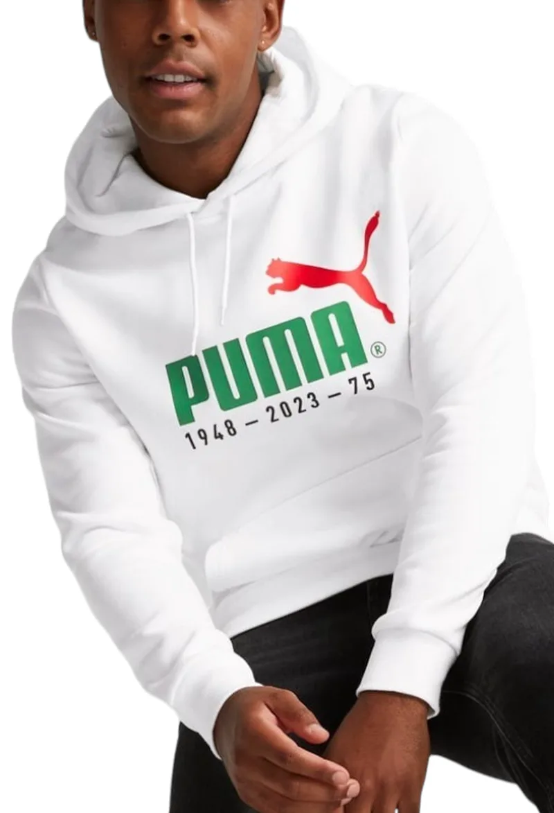 Μπλούζα Μακρυμάνικη Puma Logo Celebration Hoodie FL 676021-02 Ανδρικό