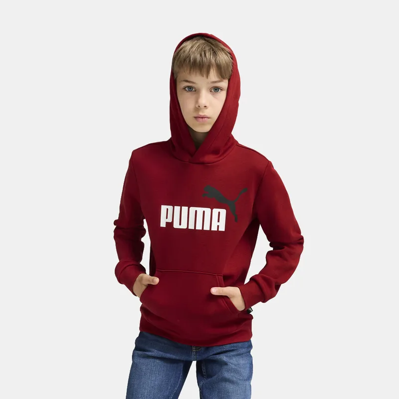 Puma Ess+ 2 Col Big Logo Παιδική Μπλούζα με Κουκούλα (9000193665_55097)