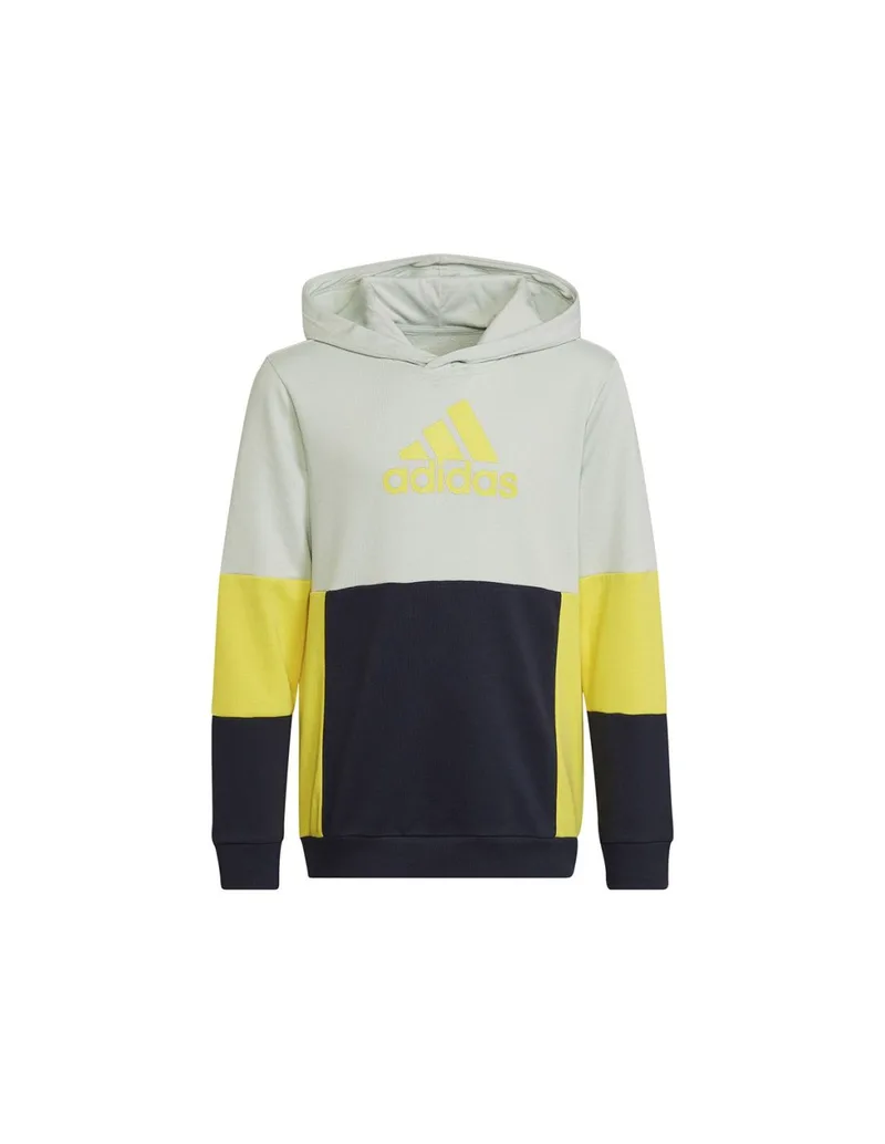 Adidas Colourblock Hoodie Jr HN8567 sweatshirt