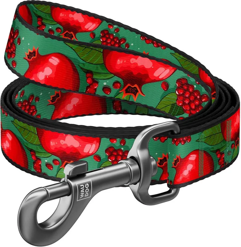 ΛΟΥΡΑΚΙ WAUDOG POMEGRANATE (15MM X 122CM)