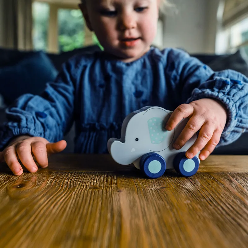 Ξύλινο Παιχνίδι Τρεχαλίτσα Πορτοκαλί Tree Toys Elephant 60-07931