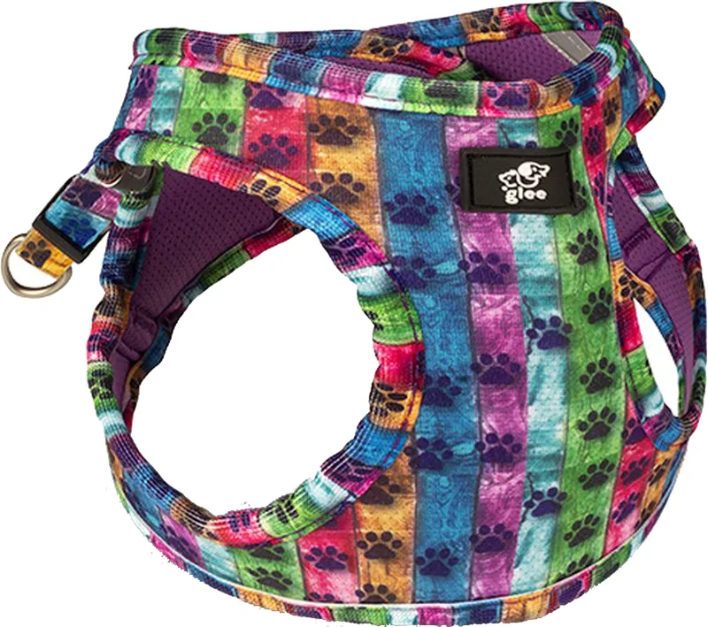 ΣΑΜΑΡΑΚΙ GLEE PLATINUM ΤΥΠΟΥ STEP IN PAW GARDEN (XSMALL 28-32CM)