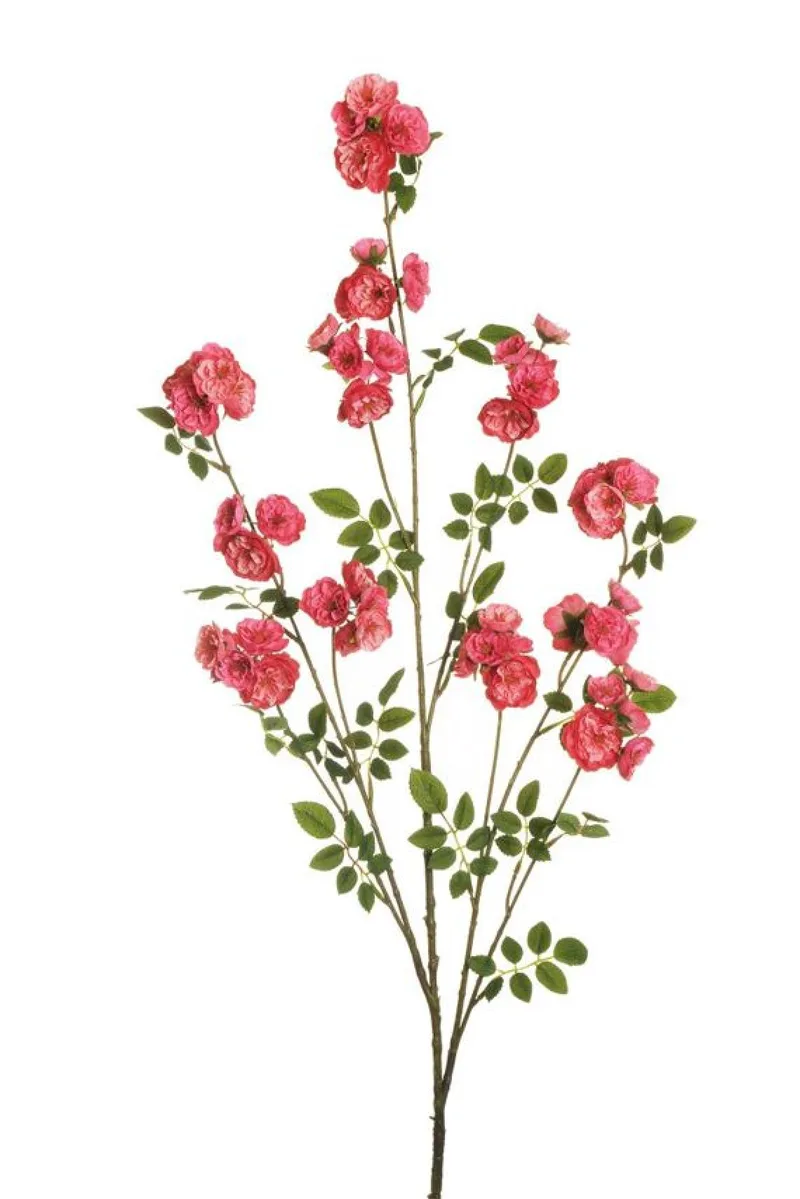 Λουλουδι Dogwood Rose Ροζ 143Cm 0x0x143cm Μονόχρωμο Evergreens