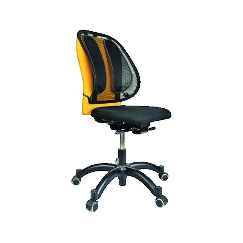 Γραφεία Fellowes Support Dorsal Ergonomique en Maille Respirante