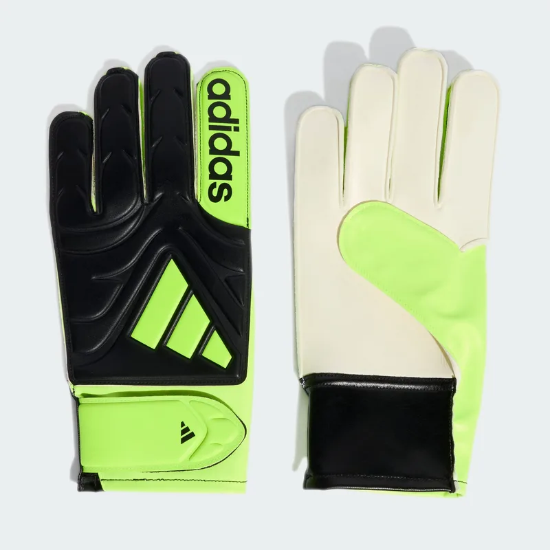 adidas Copa Unisex Γάντια Τερματοφύλακα (9000236517_87180)