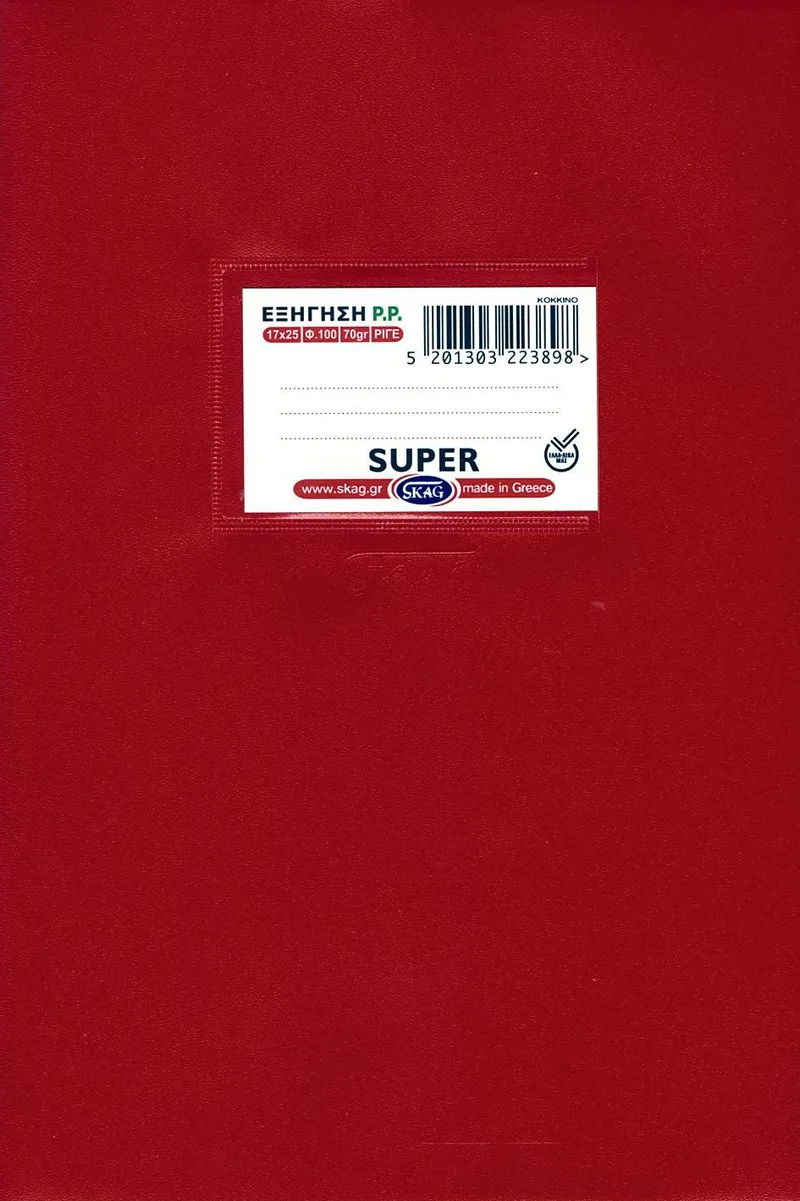 Τετράδιο καρφίτσα ριγέ εξηγήσεων Skag Super 100 φύλλα 17x25 - Κόκκινο