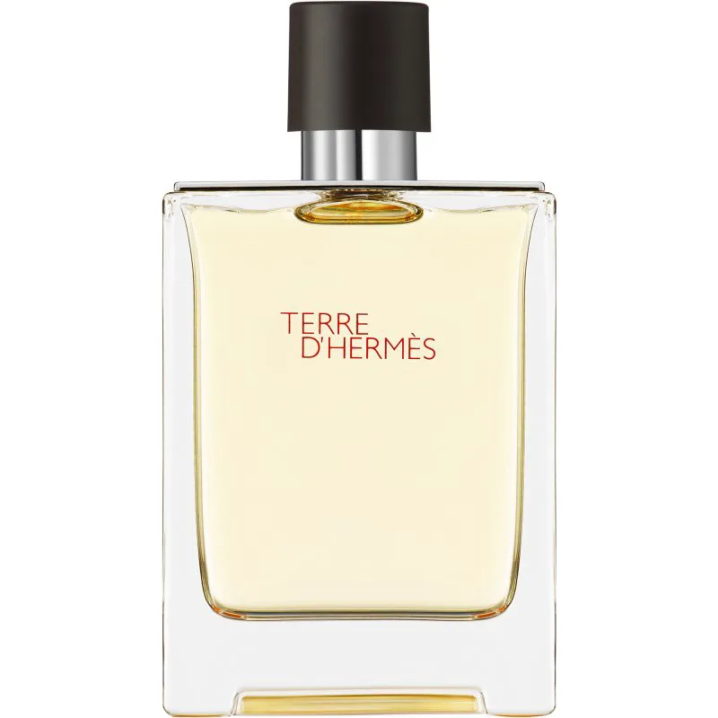 HERMÈS Terre d’Hermès Eau de Toilette για άντρες 100 ml