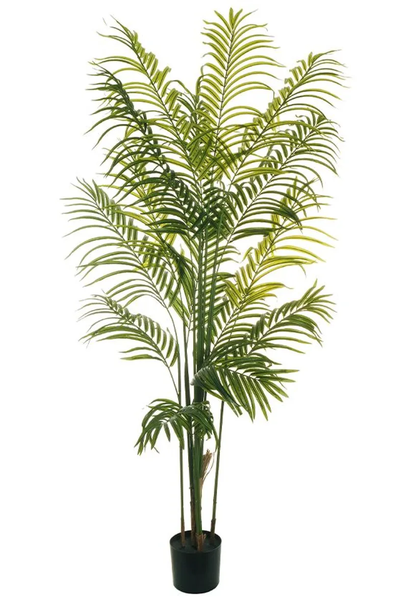 Φοινικας Σε Γλαστρα 170Cm 0x0x170cm Μονόχρωμο Evergreens