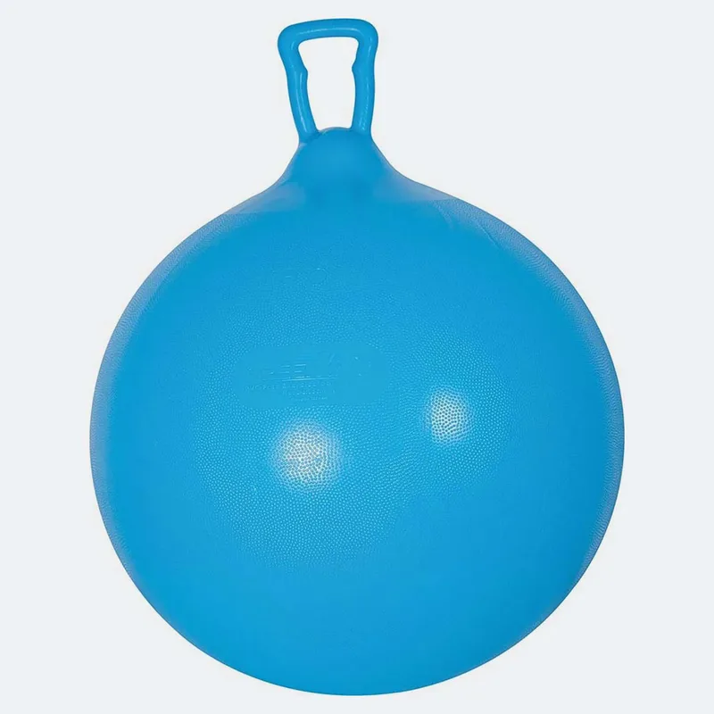 Amila Παιδική Μπάλα Αναπήδησης - 50cm (9000031004_33391)