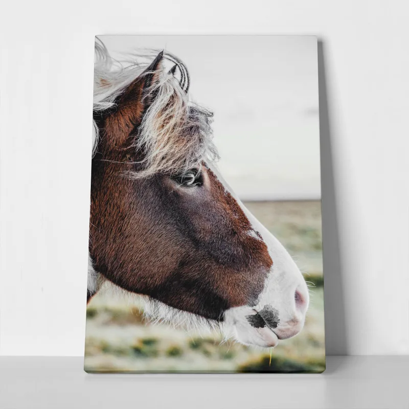 Πίνακας σε Καμβά RUSTIC FARMHOUSE HORSE 10