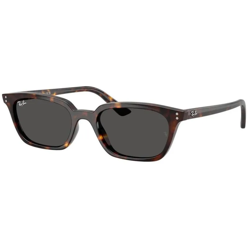óculos de sol Ray-ban ZAYA UNISEX 0RB4456 135987