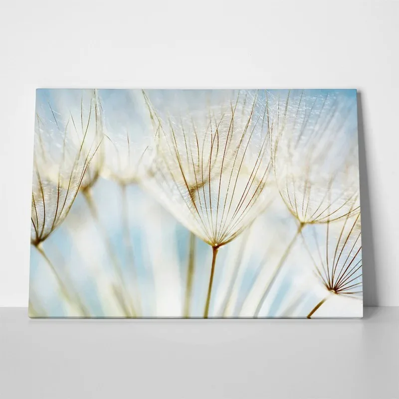 Πινακας σε καμβά DANDELION