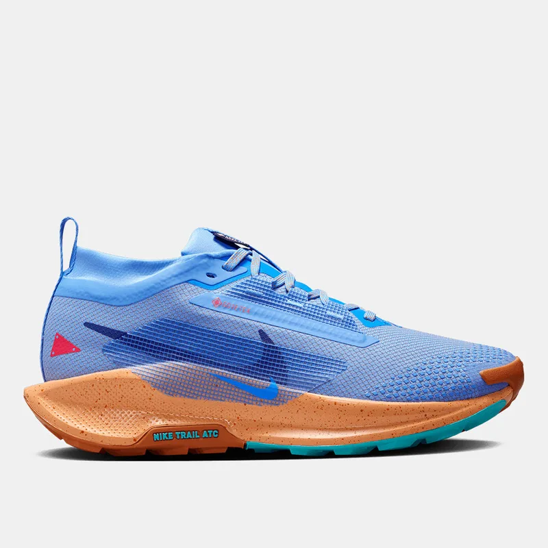 Nike Pegasus Trail 5 GORE-TEX Γυναικεία Παπούτσια για Trail (9000206884_81356)