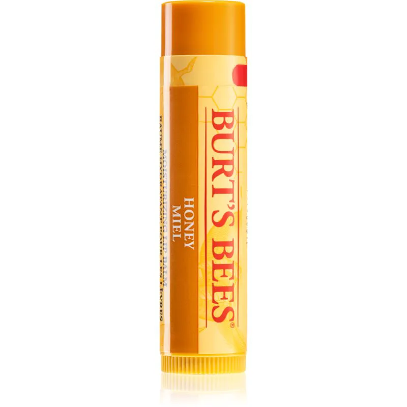 Burt’s Bees Lip Care Βάλσαμο για χείλη με μέλι (with Honey & Vitamin E) 4,25 γρ