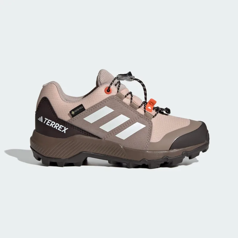 adidas Terrex Gore-Tex Hiking Παιδικά Παπούτσια (9000259926_91407)
