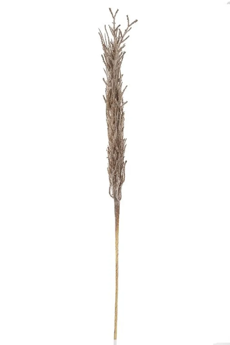 Φυτό Pampas 6x6x80cm Μονόχρωμο Kaeming