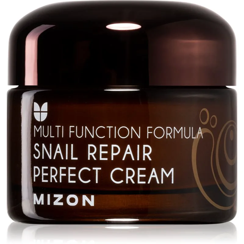 Mizon Multi Function Formula Snail κρέμα προσώπου με φιλτραρισμένη βλέννα σαλιγκαριού 60% 50 ml