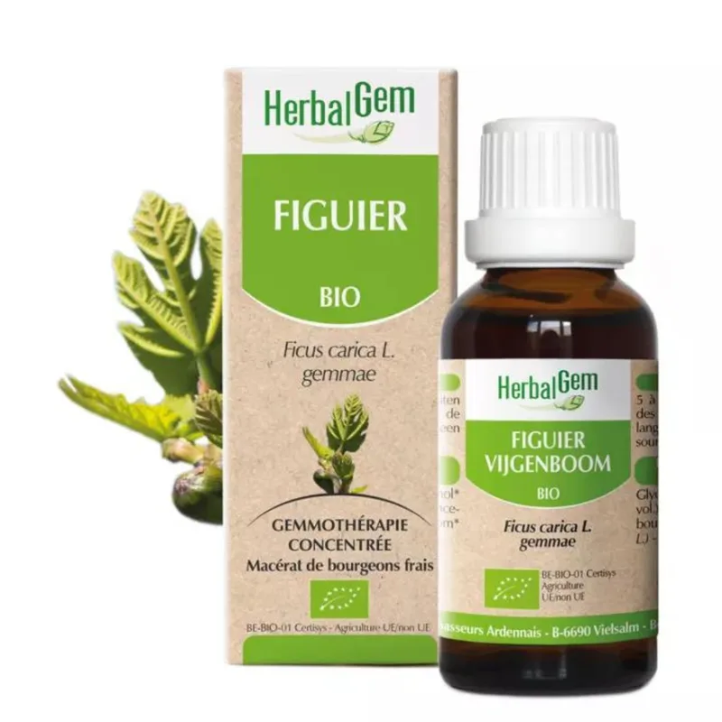 Herbalgem Organic Fig 30ml