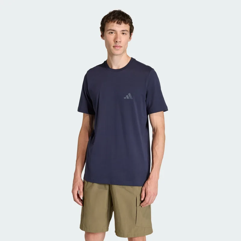 adidas Terrex Mountain Graphic Ανδρικό T-Shirt (9000264177_24222)