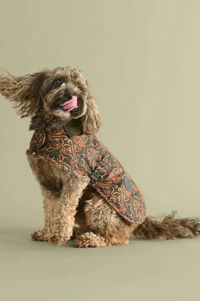 Παλτό σκύλου Barbour x Farm Rio