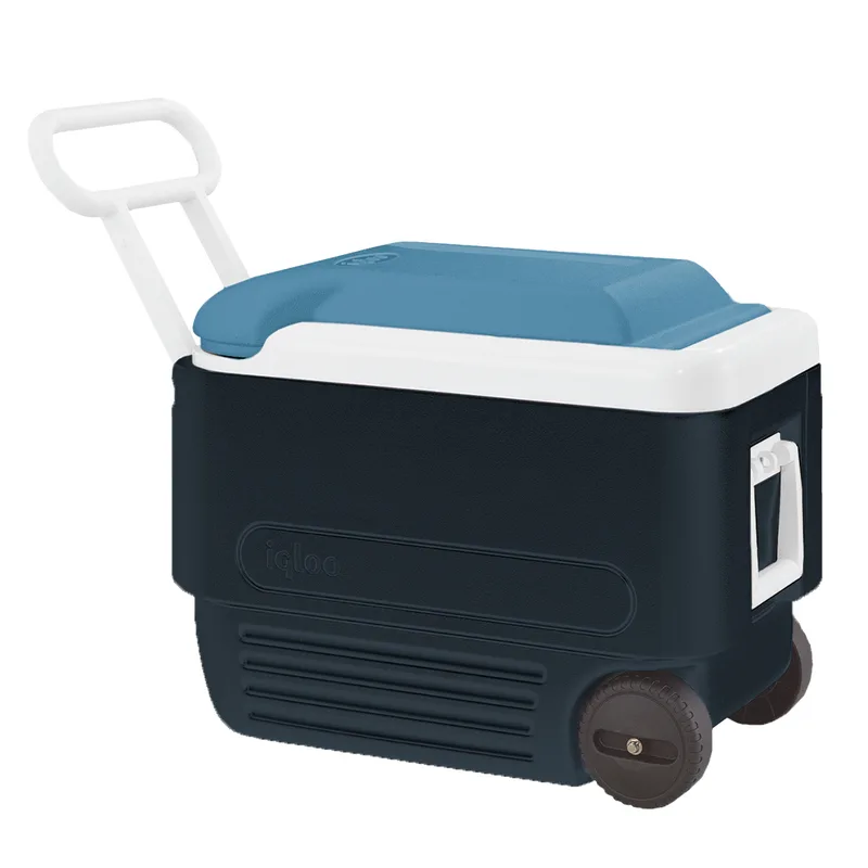 Ψυγείο IGLOO MAXCOLD ROLLER 38lt