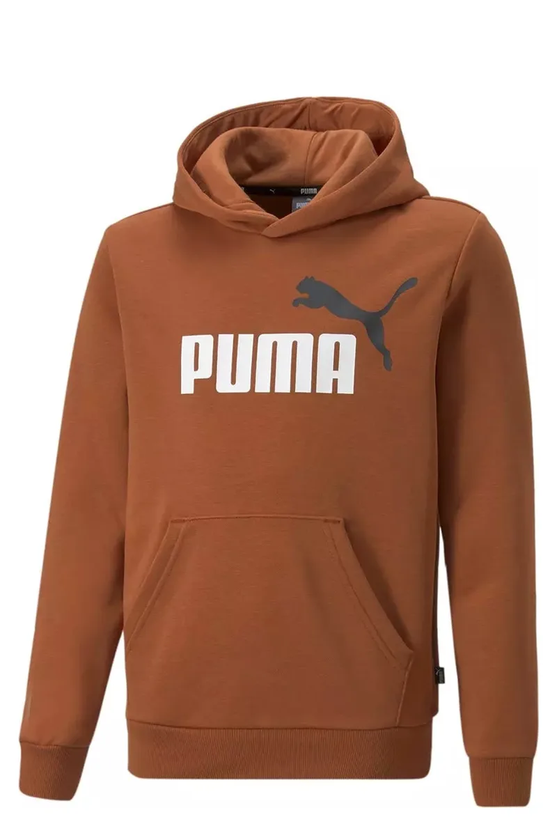 Μπλούζα Μακρυμάνικη Puma ESS+ 2 Col Big Logo Hoodie FL 586987-81 Αγόρι
