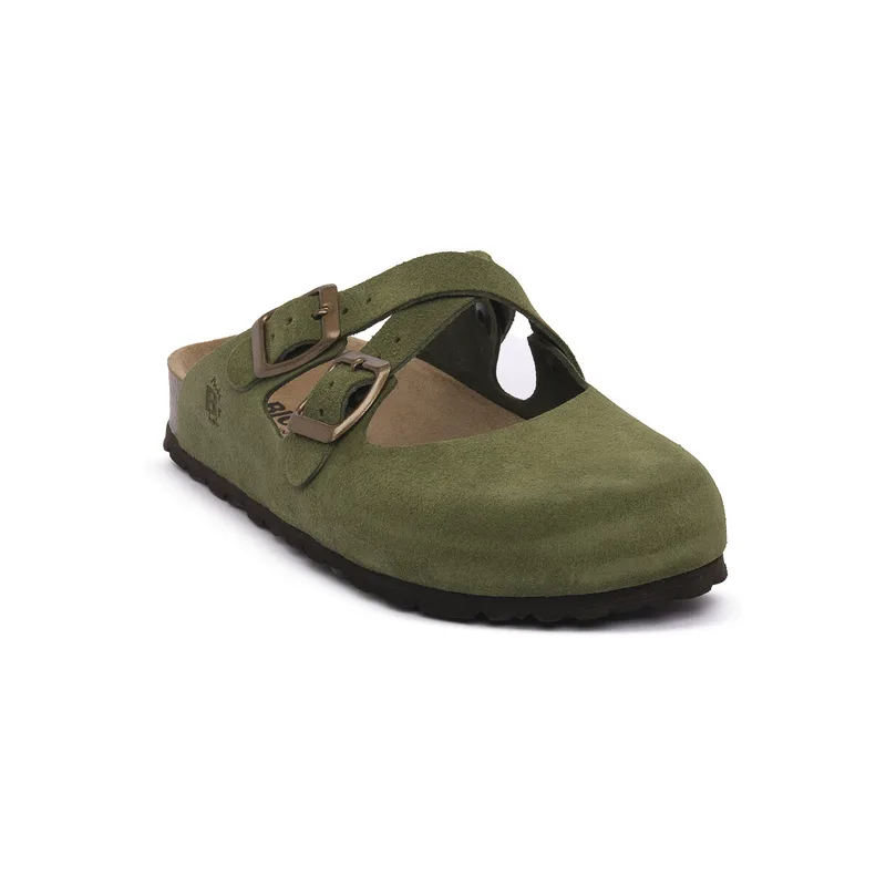 Mules Bioline 1970 NABUC FELCE