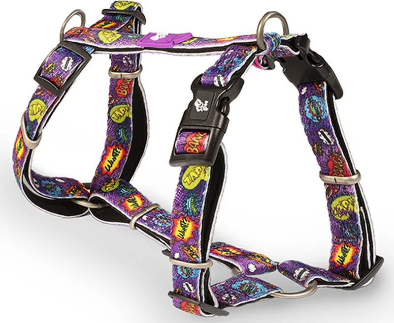 ΣΑΜΑΡΑΚΙ GLEE ΤΥΠΟΥ Η PURPLE BOOM (XXSMALL 32-40CM)