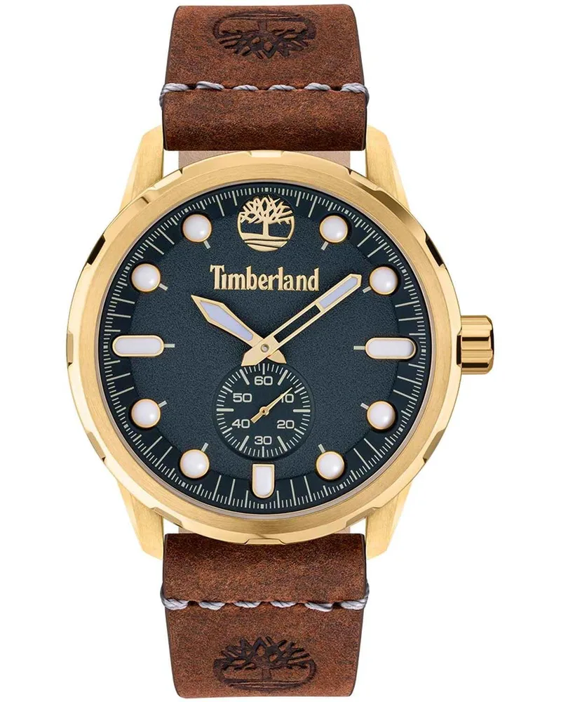 TIMBERLAND Adirondack - TDWGA0028502, Χρυσό case with Brown Leather Strap