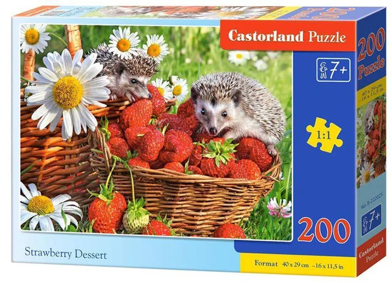STRAWBERRY DESSERT CASTORLAND 200 ΚΟΜΜΑΤΙΑ