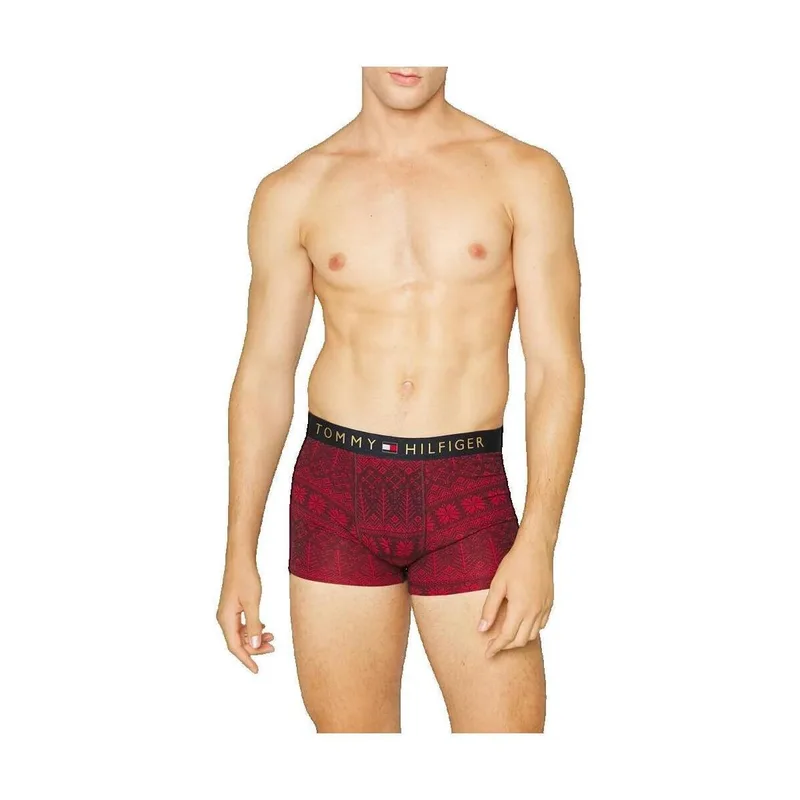Shorts & Βερμούδες Tommy Hilfiger Boxer Tommy Hilfiger Marron