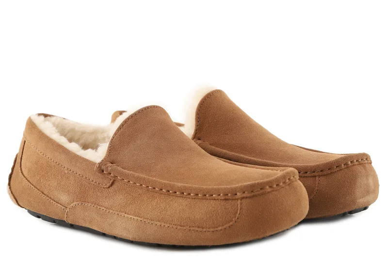 Παντόφλες Ugg Ascot 1101110-CHE Ανδρικό